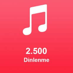 2.500 Dinlenme