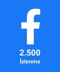2.500 İzlenme