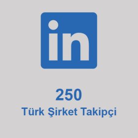 250 Türk Şirket Takipçi