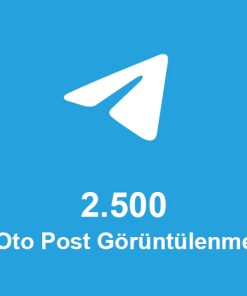 2.500 Aylık Oto Post Görüntülenme