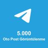 5.000 Aylık Oto Post Görüntülenme